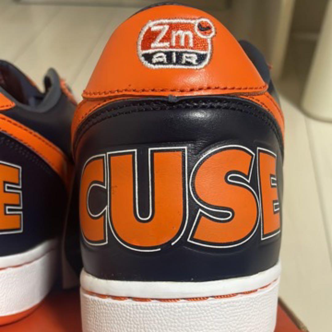 靴 NIKE ZOOM TERMINATOR syracuse 27cm