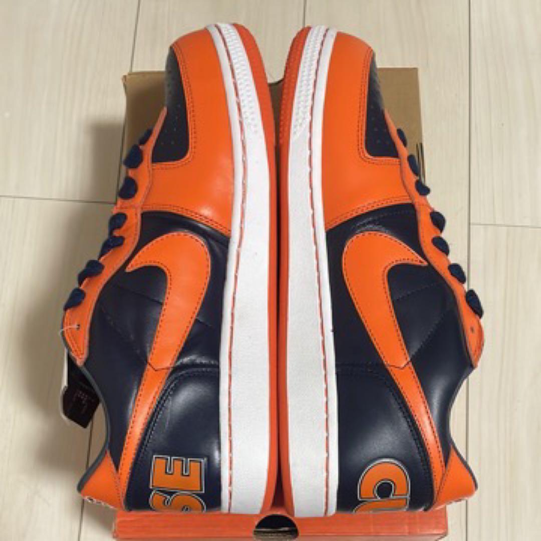 靴 NIKE ZOOM TERMINATOR syracuse 27cm