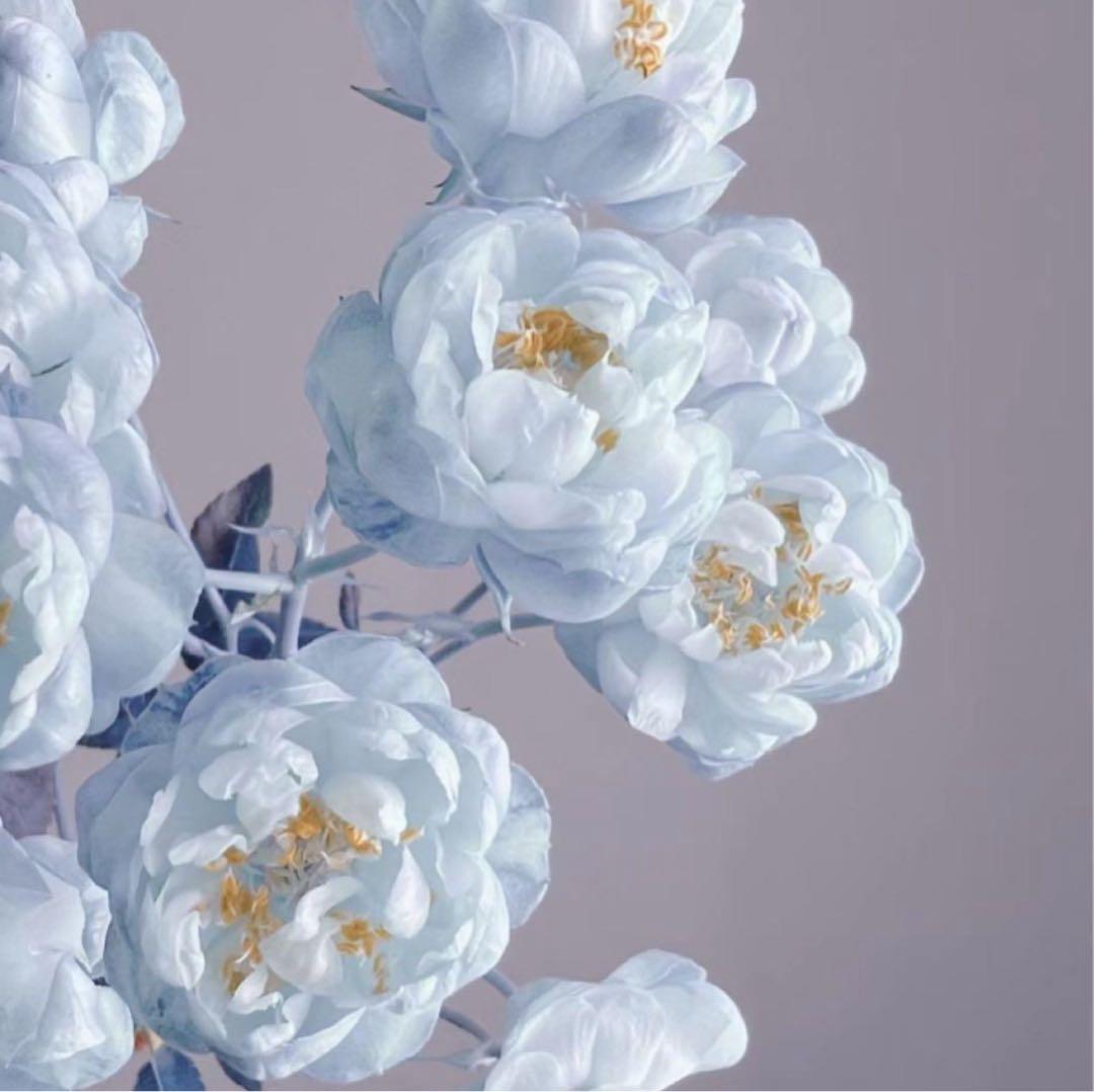 ななんちゅジャケット