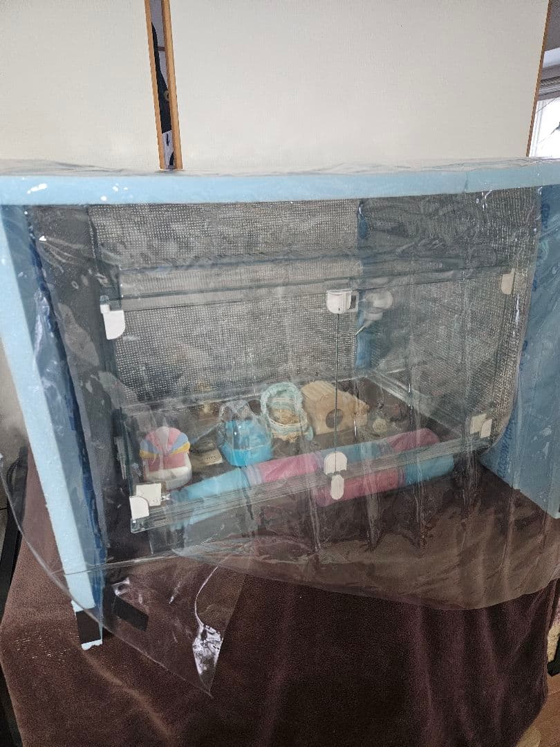 GEX グラスハーモニー　600　+　その他おまけ