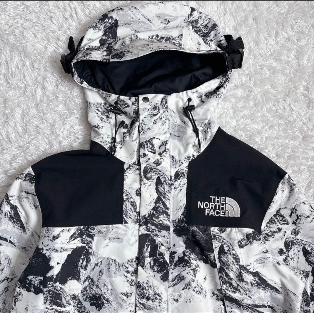 【美品】ザノースフェイス マウンテンパーカー　NJ2GN60B ゴアテックス M