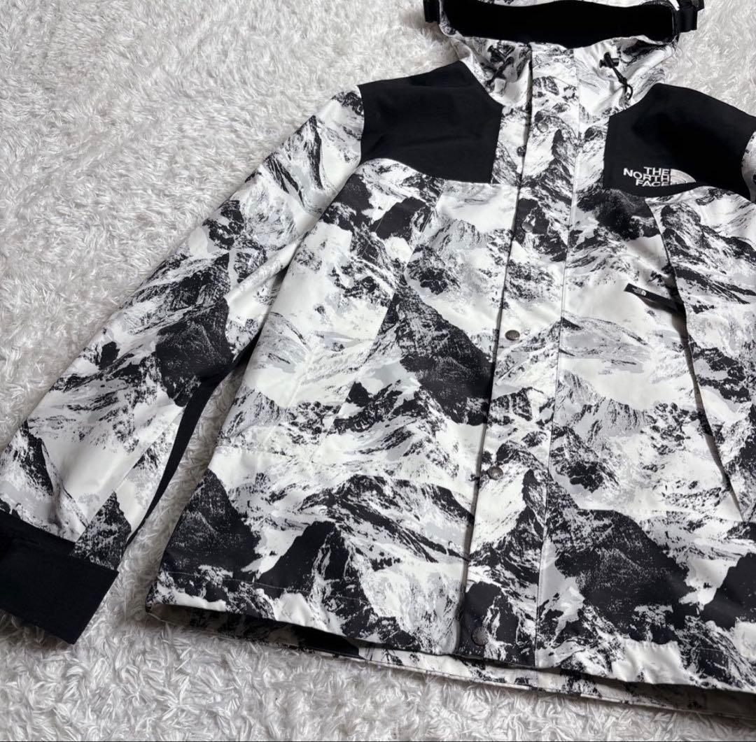 【美品】ザノースフェイス マウンテンパーカー　NJ2GN60B ゴアテックス M