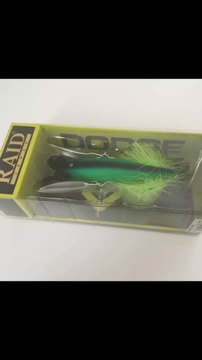 【廃盤カラー】ダッジ ダッヂ　金森隆志　レイドジャパン