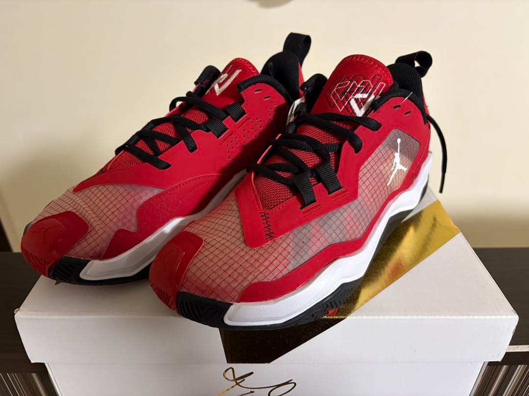 【未使用】AIR JORDAN RETRO MAX LOW G 25.5cm