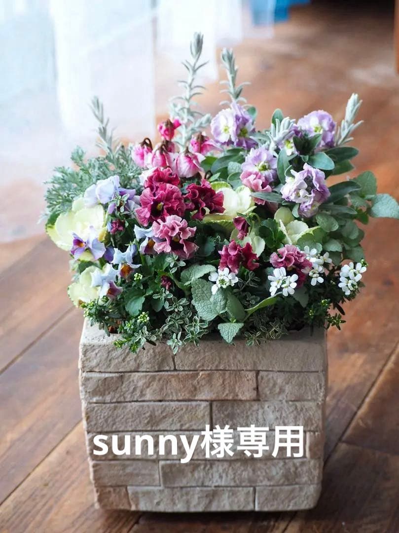 大人可愛い冬のスクエアガーデン 寄せ植え