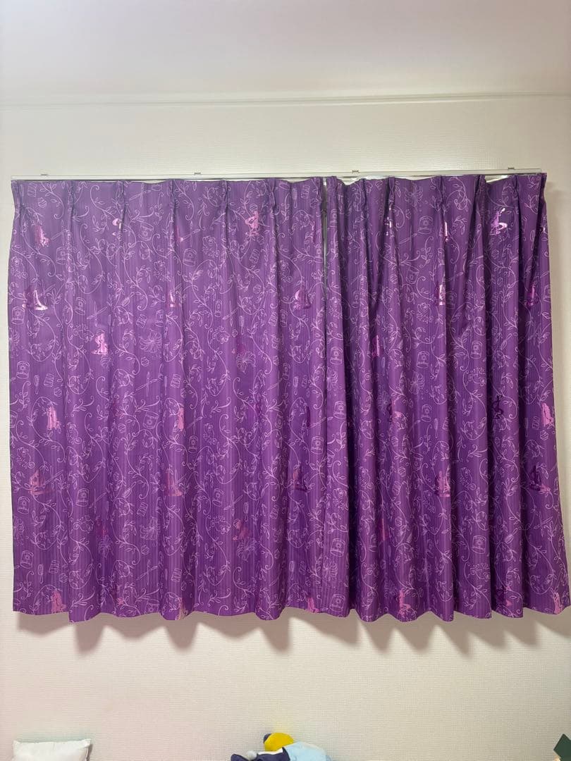 ディズニーカーテンラプンツェルセット