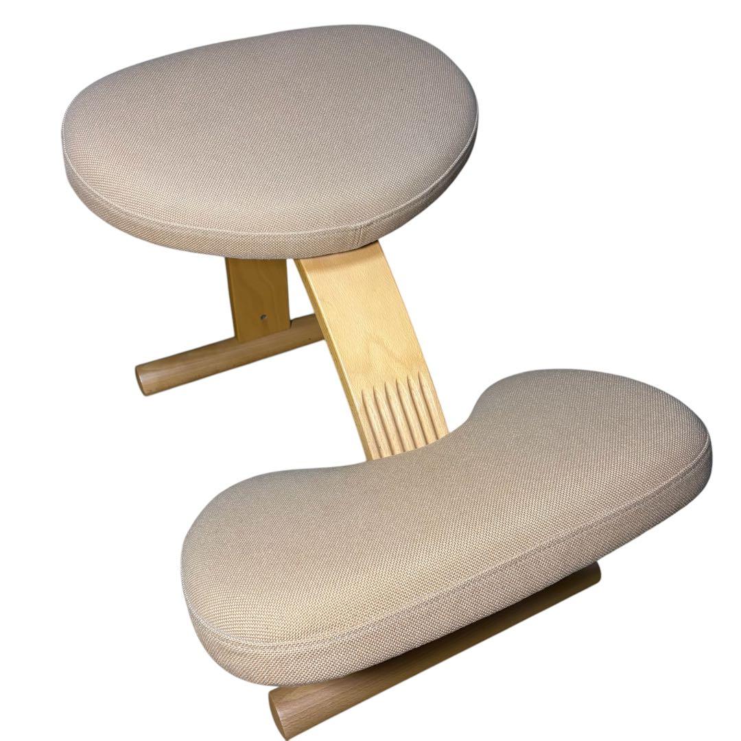 Balans Easy バランスチェア イージー 姿勢矯正 サカモトハウス