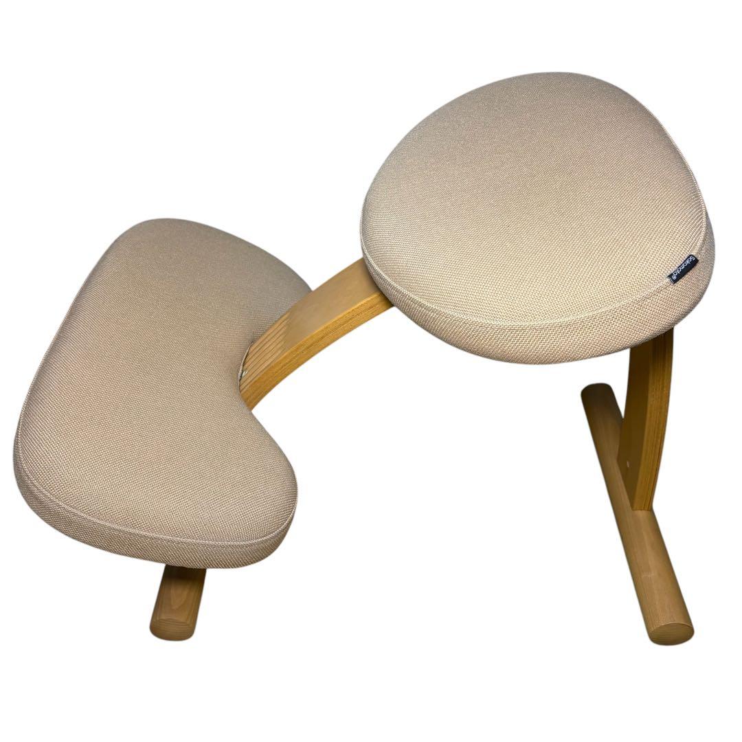 Balans Easy バランスチェア イージー 姿勢矯正 サカモトハウス