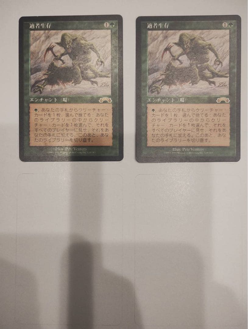 適者生存 2枚セット