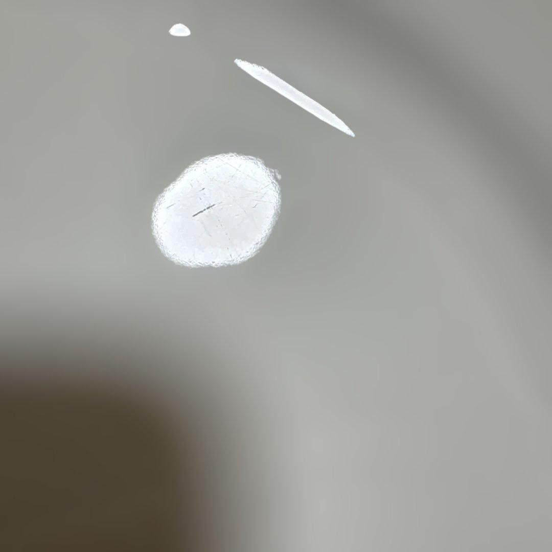 リチャードジノリ　ベッキオホワイト　プレート24㎝　4枚