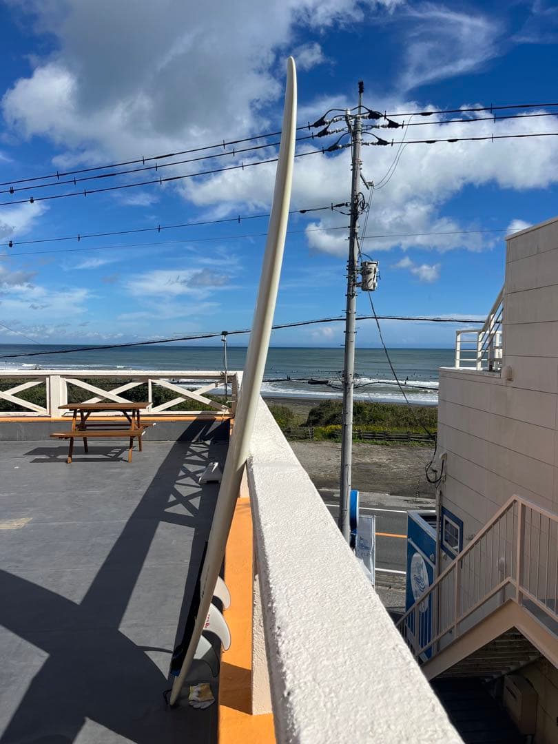 ハーレーイングルビー サンダーボルト ジオンカーボン9.1 センターフィン付き